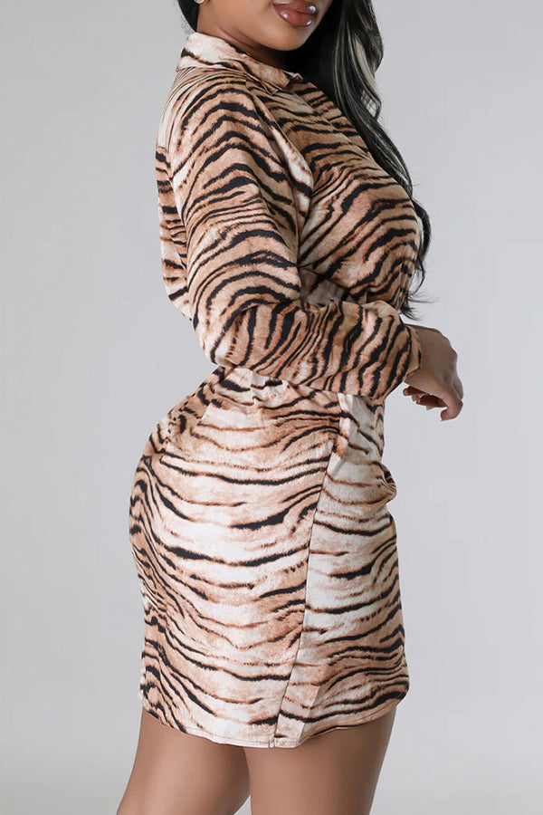 Casual Leopard Print Long Sleeve Mini Dress
