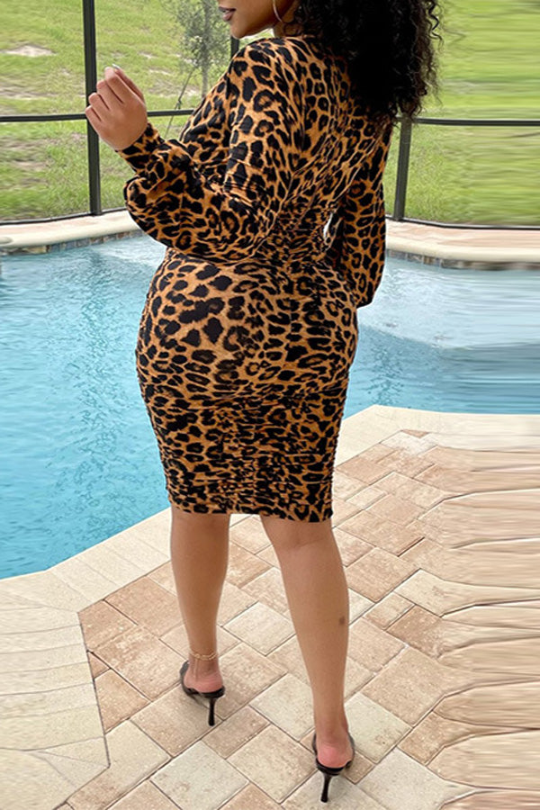 Sexy Slim Fit Long Sleeve V-Neck Leopard Print Midi Dress