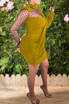 Elegant Mesh Stitch Bodycon Mini Dress